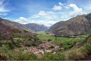 Cusco Coffee Tour: 1 Day Cloud Forest Experience