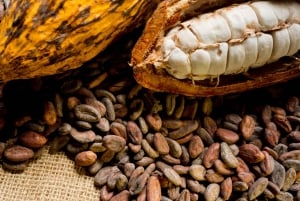 Tour del café en Cuzco: 1 día en el bosque nuboso