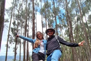 Cusco: Kulturell promenad med lokal guide ⭐⭐⭐⭐⭐