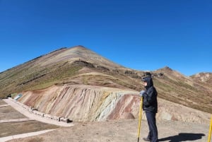 Cusco : Excursion d'une journée à la montagne arc-en-ciel de Palcoyo