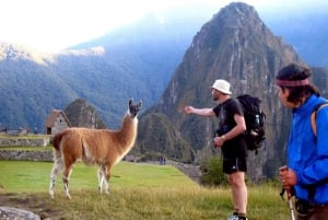 Cusco: Excursie Machu Picchu 1 dia+Ticket Algemeen & Tren