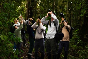 Cusco: experiential tour in the jungle