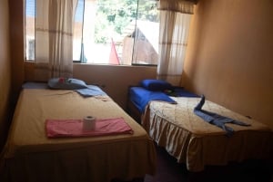 Cusco: experiential tour in the jungle