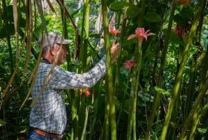 Cusco: experiential tour in the jungle