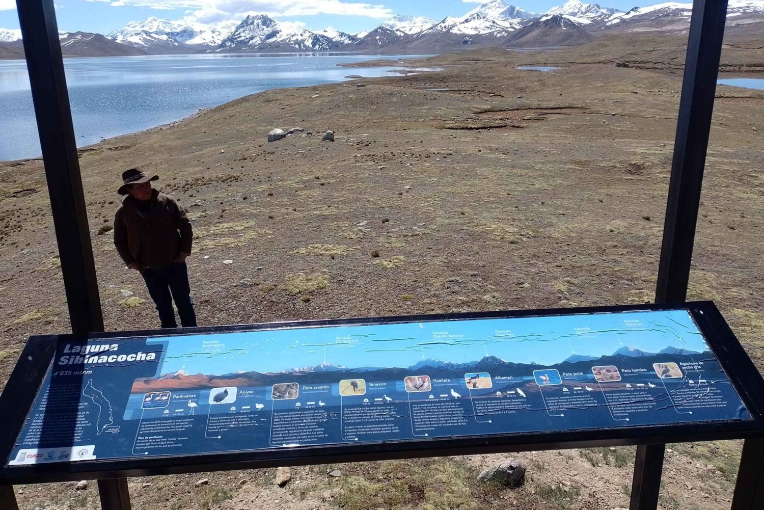 Cusco: Explore the beauty of the Quelccaya Glacier (full day)