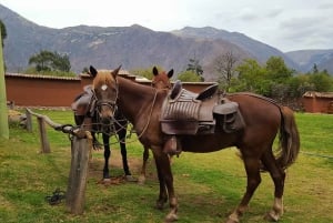 Cusco: passeio a cavalo de dia inteiro para Maras e Moray