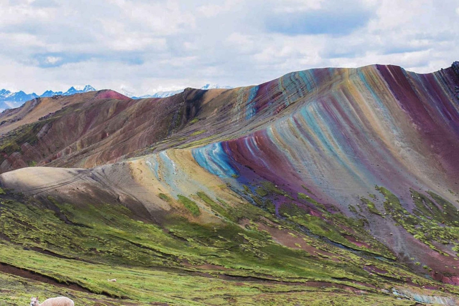 Cusco : Hele dag Palcoyo berg van kleuren