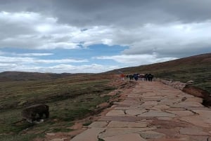 Cusco: Giornata intera sul monte Palcoyoc + Pasti inclusi