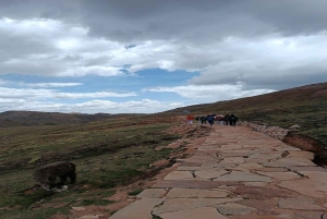 Cusco: Full Day Palcoyoc Mountain + Meals Included