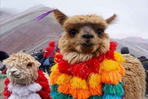 Cusco: Full-Day Rainbow Mountain Tour
