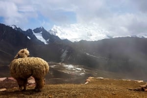 Cusco: Excursão de 1 dia à Montanha do Arco-Íris