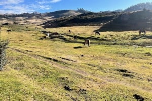 Cusco: wycieczka z przewodnikiem po szlakach biegowych