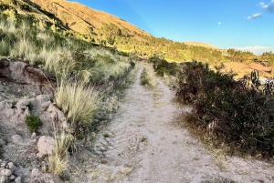 Cusco: wycieczka z przewodnikiem po szlakach biegowych