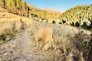 Cusco: wycieczka z przewodnikiem po szlakach biegowych