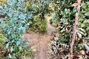 Cusco: wycieczka z przewodnikiem po szlakach biegowych