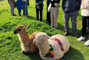 Historisk rundvandring i Cusco i små grupper