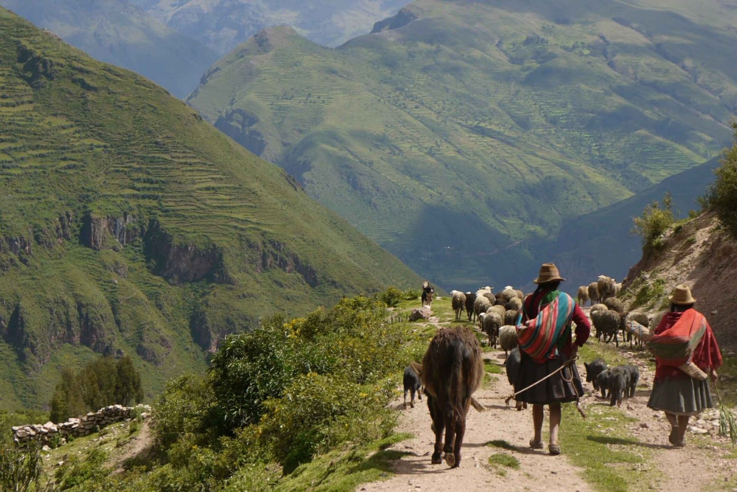 Cusco: Half day Acclimatization Hike & Hotel Transfers