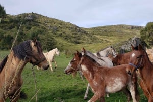 Cusco: Half-Day Horseback Riding at Devil's Balcony