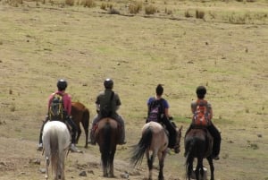Cusco:Half-Day Private Tour Riding on Horseback Around Cusco