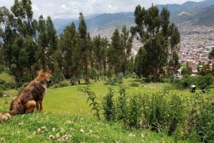 Cusco: Hidden Incan Temples Full-Day Horseback Riding Tour