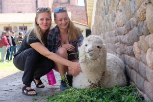 Cusco Highlights Walking Tour: History, Culture, Traditions