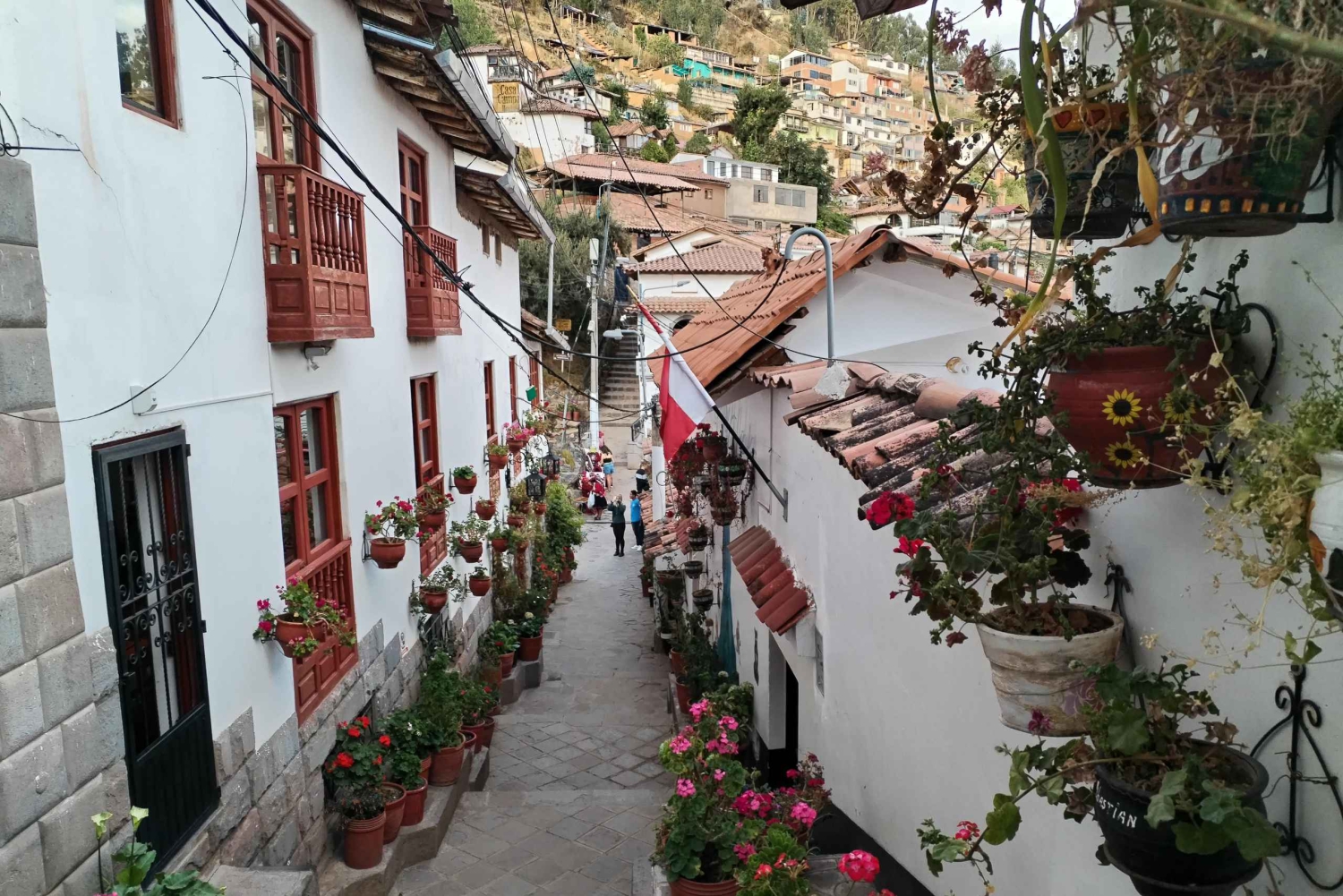 Cusco: Historic Walking Tour & Scenic Views with local drink