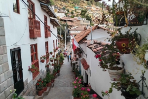 Cusco: Historic Walking Tour & Scenic Views with local drink