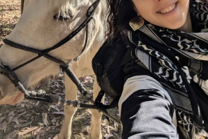 Cusco: Horseback Riding Tour to Inca Temples and Viewpoints