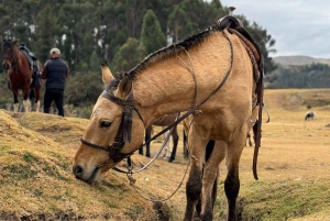Cusco: Horseback Riding Tour to Inca Temples and Viewpoints