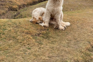 Cusco: Horseback Riding Tour to Inca Temples and Viewpoints
