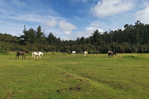 Cusco: Horseback Riding Tour to Inca Temples and Viewpoints