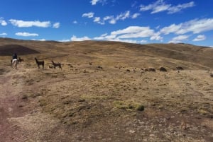 Cusco: Horseback Riding Tour to Inca Temples and Viewpoints