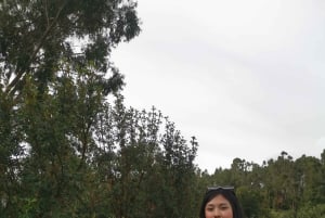 Cusco: Horseback Riding Tour to Inca Temples and Viewpoints