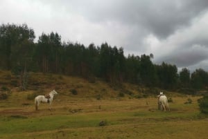 Cusco: Horseback Riding Tour to Inca Temples and Viewpoints