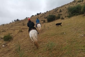 Cusco: Horseback Riding Tour to Inca Temples and Viewpoints