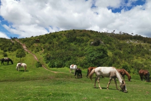 Cusco: Horseback Riding Tour to Inca Temples and Viewpoints