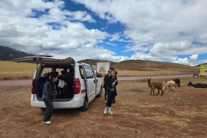 Cusco: Private Tour zu Inka-Stätten und Alpakaschutzgebiet