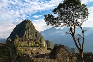 Cusco: Inca Jungle Backpacker Trek with Machu Picchu