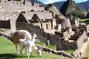 Cusco & Machu Picchu: 3-dagars paketresa