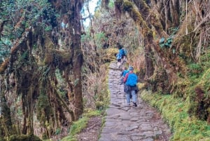 Cusco: 4 päivän vaellus Machu Picchulla Inka Traililla ja Panoramic Train -juna