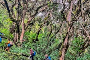 Cusco: 4 päivän vaellus Machu Picchulla Inka Traililla ja Panoramic Train -juna