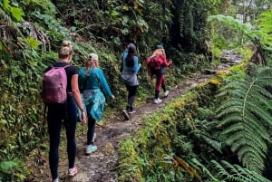 Cusco: 4 päivän vaellus Machu Picchulla Inka Traililla ja Panoramic Train -juna
