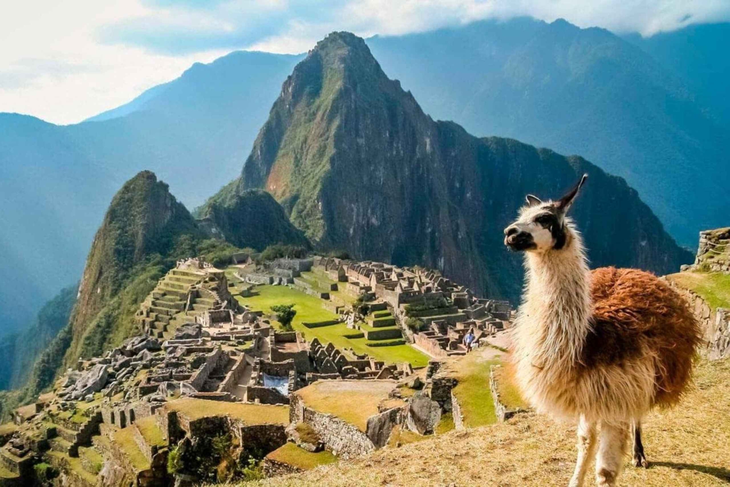 Cusco: Excursión vespertina a Machu Picchu con guía