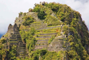 Cusco: Machu Picchu i Huayna Picchu - 1-dniowa wycieczka pociągiem