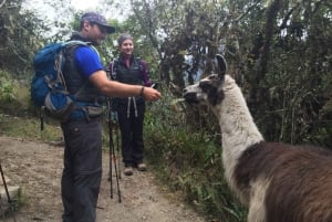 Cusco: Machu Picchu Inca Trail 4-Day Trek: Machu Picchu Inca Trail 4-Day Trek