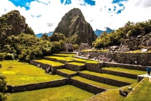 Cusco: Machu Picchu Tour 1-dags guidet tur og Huayna Picchu Mountain