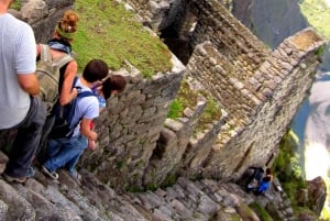 Cusco: Machu Picchu Tour 1-dags guidet tur og Huayna Picchu Mountain