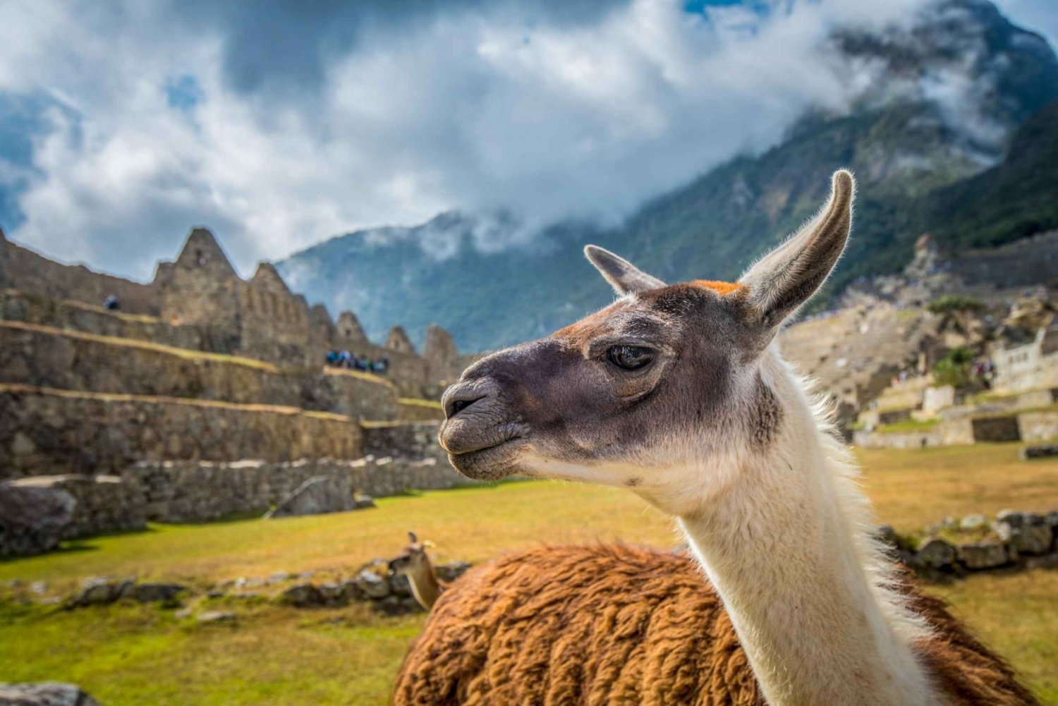 Cusco: Excursão a Machu Picchu com ingressos