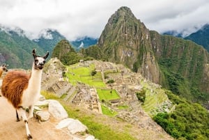 Cusco : Visite du Machu Picchu avec billets