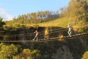 Cusco: Majestic Flight of the Condor in Chonta - Apurimac Canyon.